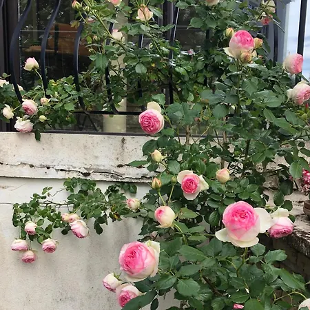 Le Jardin Des Verottes Μπον