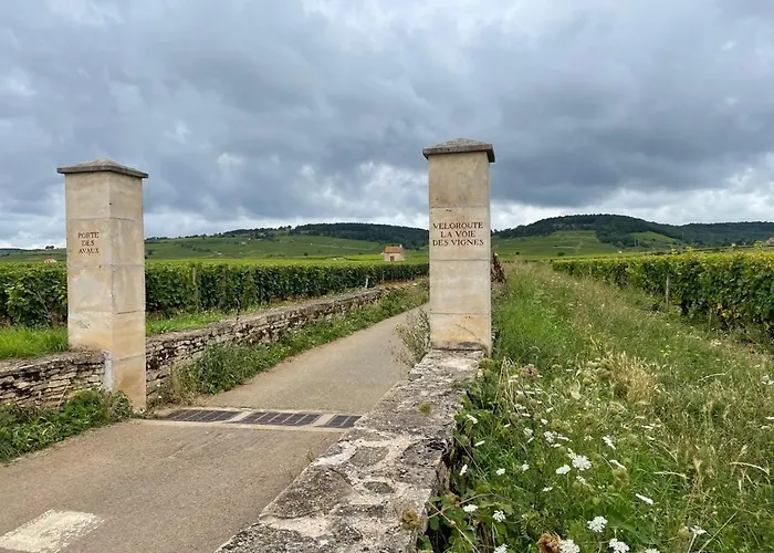 Le Jardin Des Verottes Beaune (Cote d'Or)